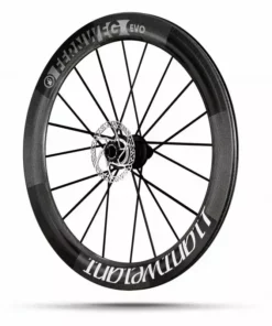 Roue Avant LIGHTWEIGHT FERNWEG EVO Disque Tubeless
